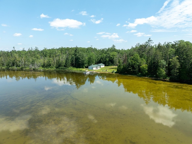 5860 Turtle Lake Rd, Gaylord, MI 49735 - photo 77