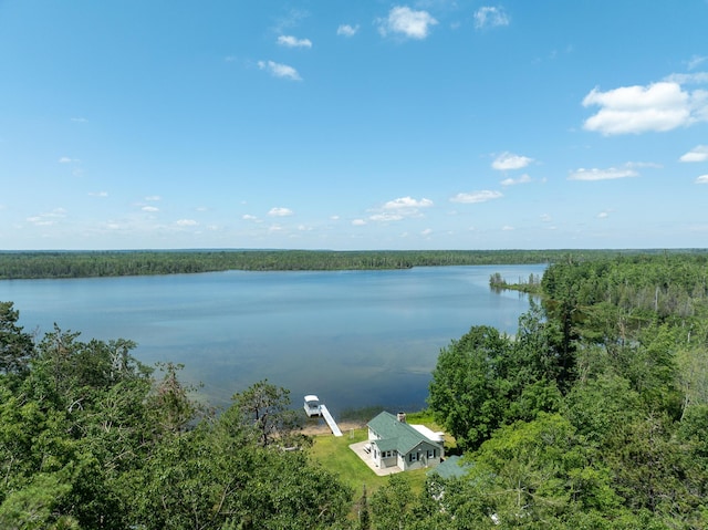 5860 Turtle Lake Rd, Gaylord, MI 49735 - photo 79
