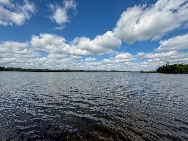 5860 Turtle Lake Rd, Gaylord, MI 49735 - photo 26