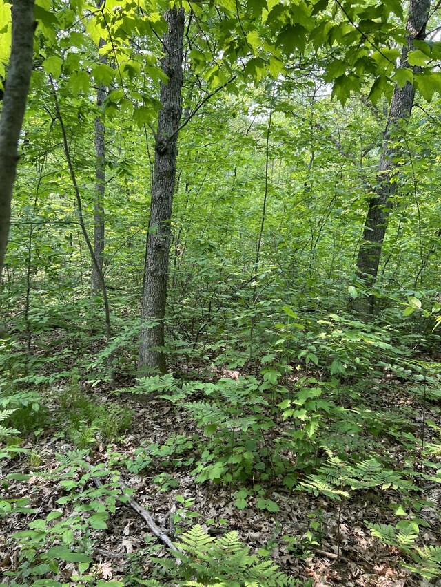 VL Sherman Rd, Fountain, MI 49410