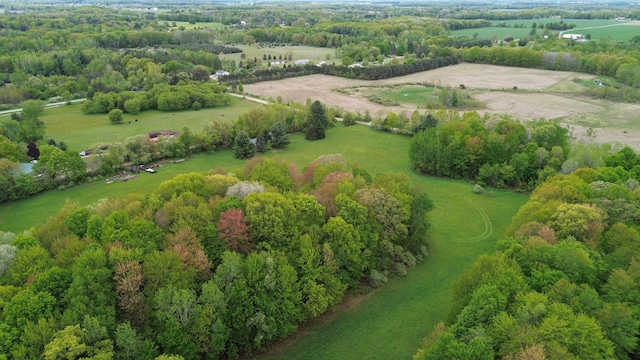 10200 N Backus Rd, Lakeview, MI 48850