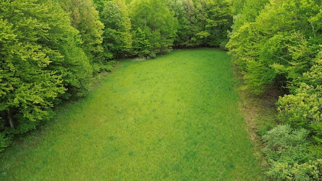10200 N Backus Rd, Lakeview, MI 48850