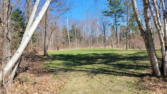 V/L Harbor Dr Lot 102, Pentwater, MI 49449