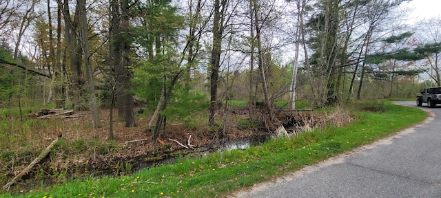 V/L Harbor Dr Lot 102, Pentwater, MI 49449