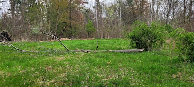 V/L Harbor Dr Lot 102, Pentwater, MI 49449