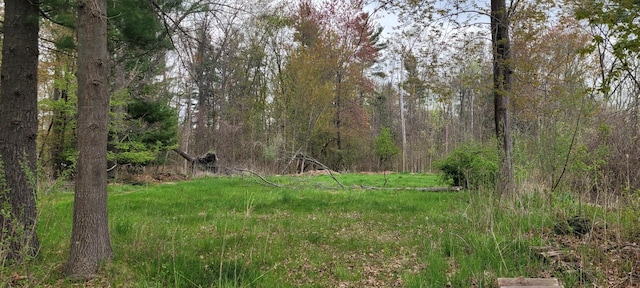 V/L Harbor Dr Lot 102, Pentwater, MI 49449