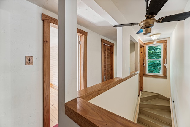8661 Elm Valley Rd, Union Pier, MI 49129 - view of hall