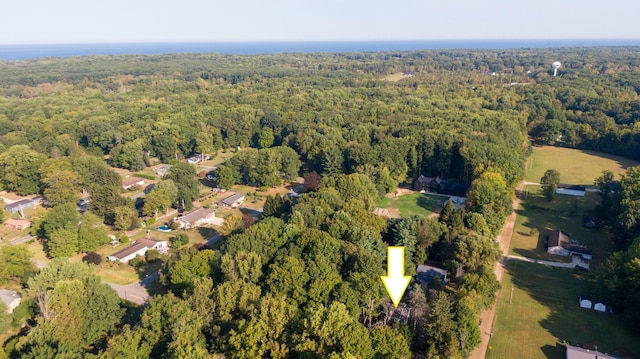 8661 Elm Valley Rd, Union Pier, MI 49129 - aerial overview of property's location with a forest