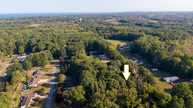 8661 Elm Valley Rd, Union Pier, MI 49129 - aerial overview of property's location with a forest