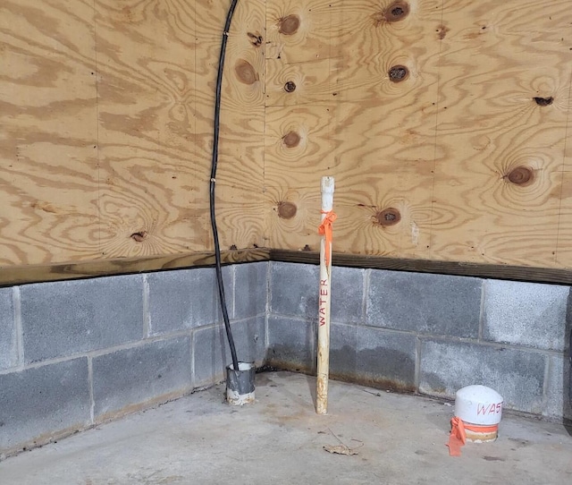 8661 Elm Valley Rd, Union Pier, MI 49129 - basement view of concrete block wall and unfinished concrete floors