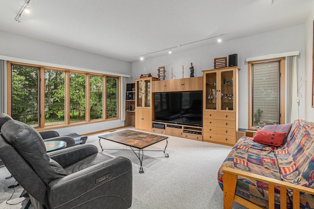 4223 Spring Lake Blvd, Ann Arbor, MI 48108 - carpeted living room featuring track lighting