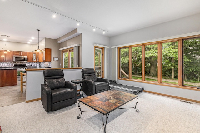 4223 Spring Lake Blvd, Ann Arbor, MI 48108 - living area featuring track lighting, healthy amount of natural light, light colored carpet, and baseboards