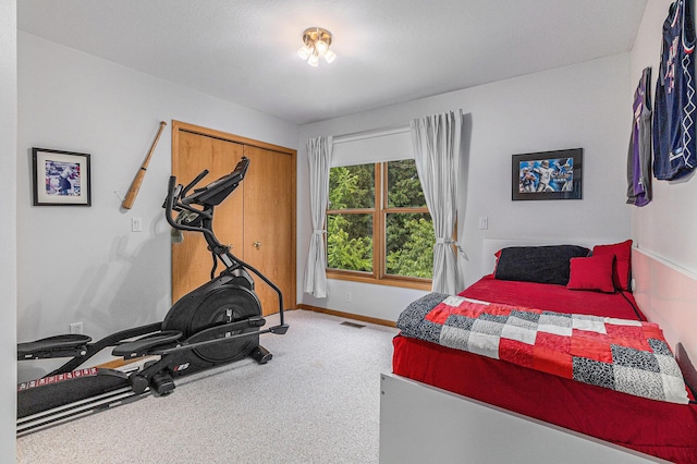 4223 Spring Lake Blvd, Ann Arbor, MI 48108 - carpeted bedroom with baseboards and a closet
