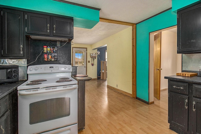 302 Wood St, Hart, MI 49420 - kitchen featuring electric stove, dark cabinets, black microwave, light wood-style floors, and a textured ceiling