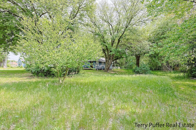 987 Oak Ave, Muskegon, MI 49442 - view of yard