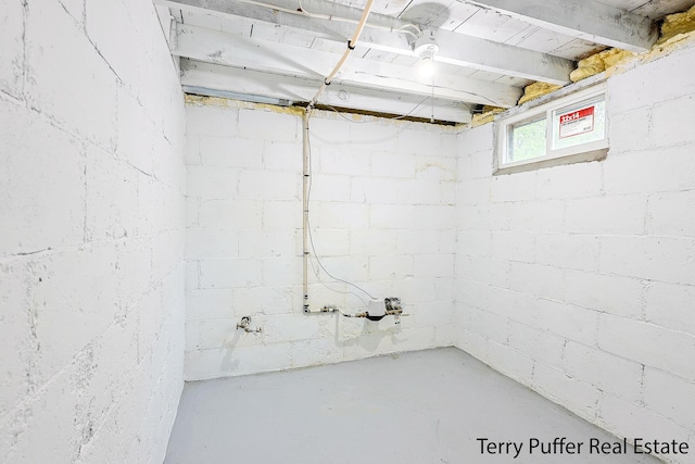 987 Oak Ave, Muskegon, MI 49442 - basement with concrete block wall