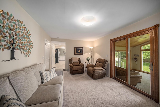 489 Old Creek Ct, Saline, MI 48176 - living area with light carpet