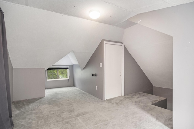 3544 Briggs Blvd NE, Grand Rapids, MI 49525 - bonus room with lofted ceiling and carpet floors