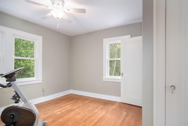 3544 Briggs Blvd NE, Grand Rapids, MI 49525 - exercise room with healthy amount of natural light, light wood-style floors, and baseboards