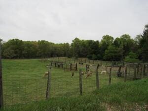 7034 Schow Rd, Holton, MI 49425 - photo 14