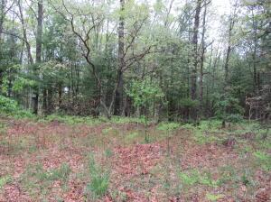 7034 Schow Rd, Holton, MI 49425 - photo 10