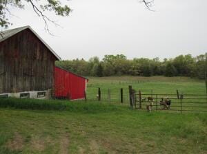 7034 Schow Rd, Holton, MI 49425 - photo 19