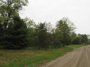 7034 Schow Rd, Holton, MI 49425 - photo 27