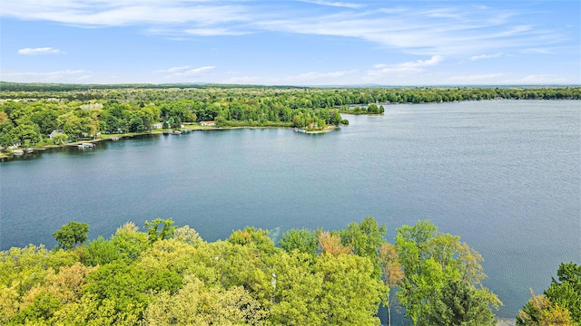 1142 Wolf Lake Dr, Baldwin, MI 49304 - water view with a heavily wooded area