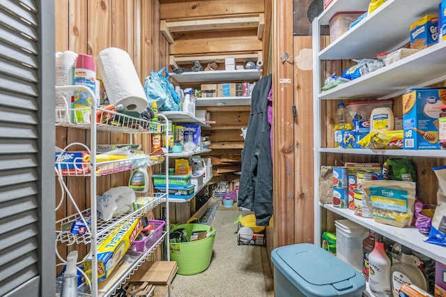 1142 Wolf Lake Dr, Baldwin, MI 49304 - view of storage room