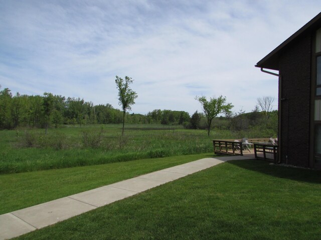 9920 Cambridge Ct, South Lyon, MI 48178 - view of green lawn featuring a view of rural / pastoral area