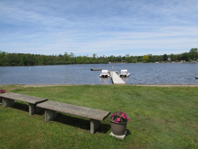 9920 Cambridge Ct, South Lyon, MI 48178 - dock area featuring a yard and a water view