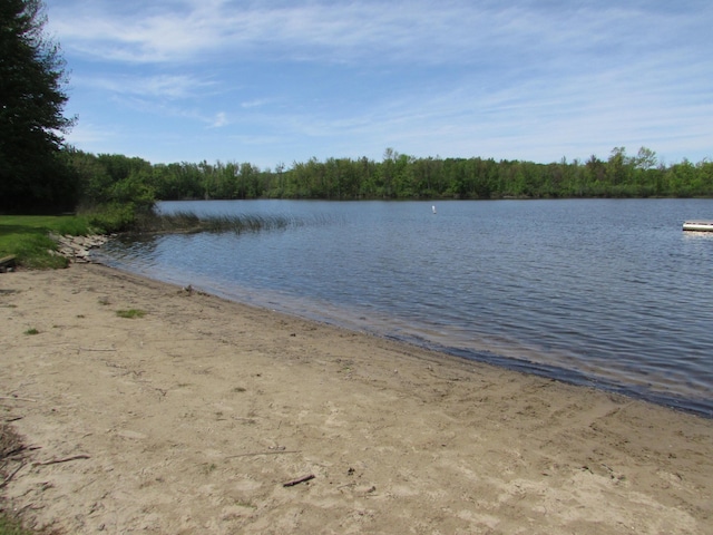 9920 Cambridge Ct, South Lyon, MI 48178 - water view