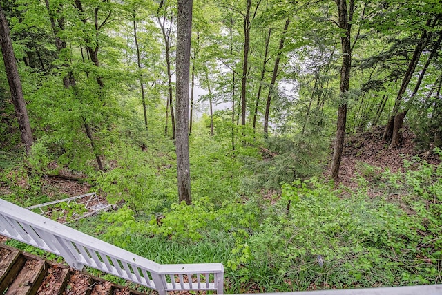4468 Teal Ln, Newaygo, MI 49337 - view of yard featuring a view of trees