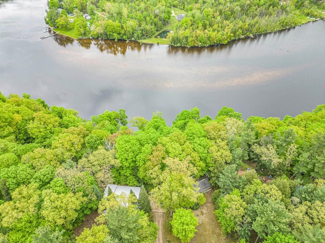 4468 Teal Ln, Newaygo, MI 49337 - aerial view of a nearby body of water and a heavily wooded area