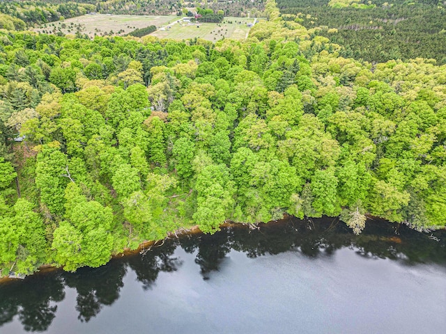 4468 Teal Ln, Newaygo, MI 49337 - aerial overview of property's location with a forest and a nearby body of water