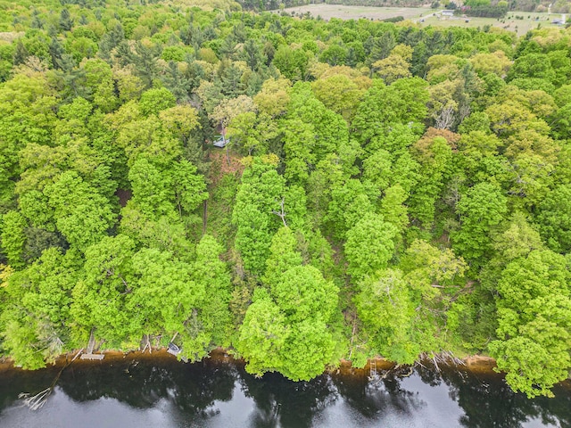 4468 Teal Ln, Newaygo, MI 49337 - bird's eye view of a nearby body of water and a heavily wooded area