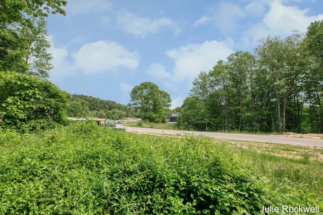 2895 Terra Nova Dr SE, Ada, MI 49301