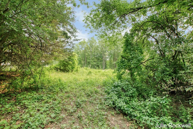 2895 Terra Nova Dr SE, Ada, MI 49301