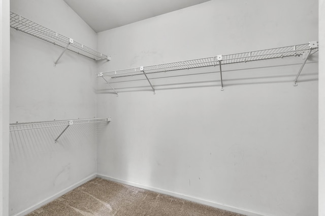 2539 Country Village Ct, Ann Arbor, MI 48103 - walk in closet with carpet floors