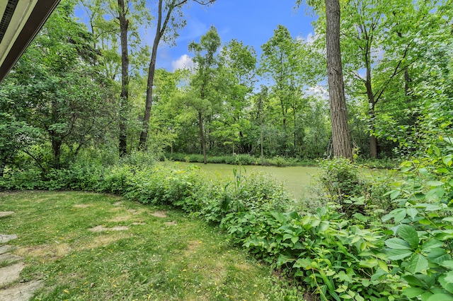 2539 Country Village Ct, Ann Arbor, MI 48103 - view of grassy yard