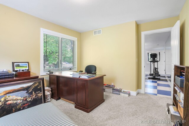 945 N Baywood Dr, Holland, MI 49424 - photo 45