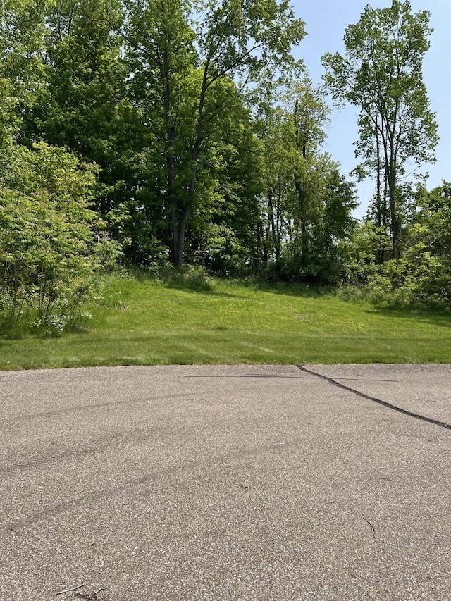 8683 Heron Ct, Watervliet, MI 49098