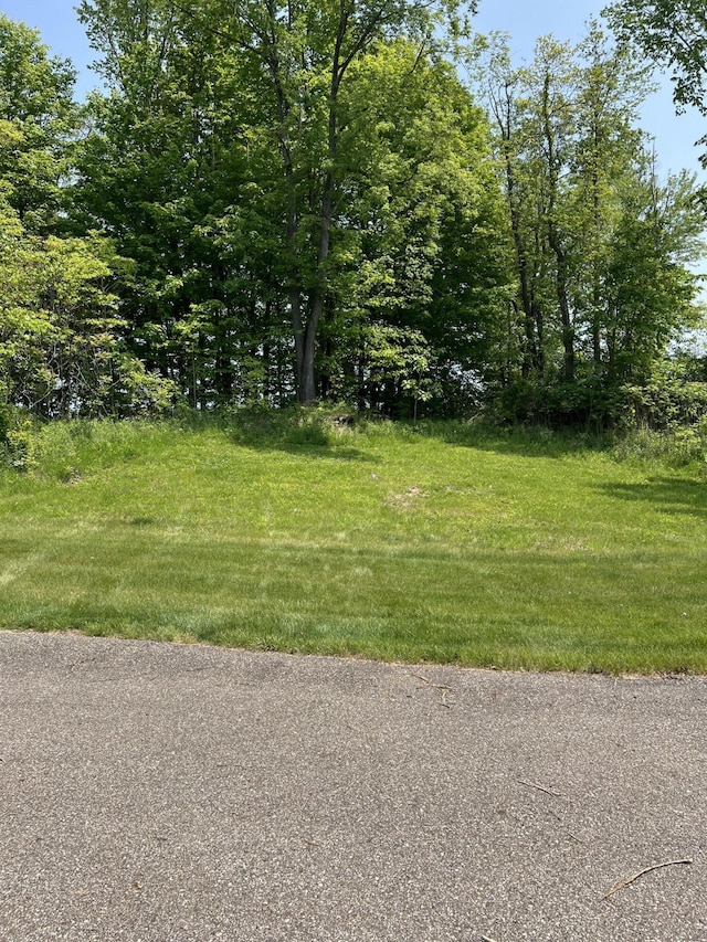 8683 Heron Ct, Watervliet, MI 49098