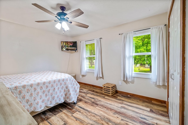 4744 Sandy Ln, Whitehall, MI 49461 - bedroom with multiple windows, wood finished floors, and baseboards