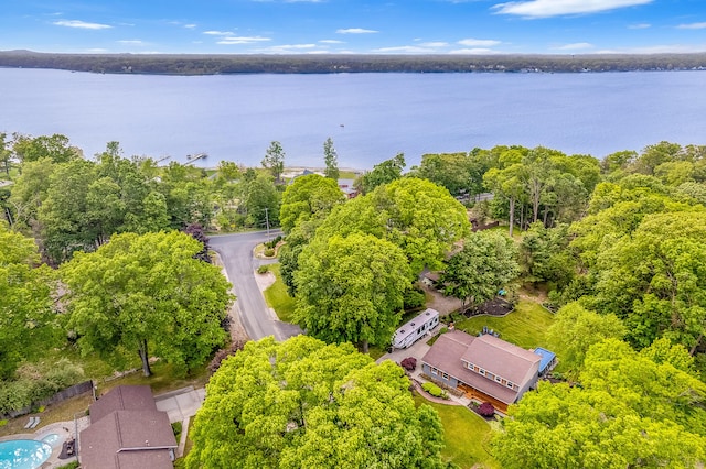 4744 Sandy Ln, Whitehall, MI 49461 - bird's eye view of a large body of water