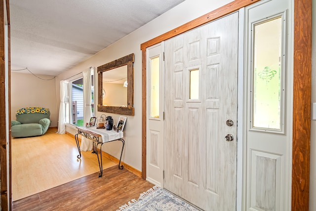4744 Sandy Ln, Whitehall, MI 49461 - entrance foyer with wood finished floors, a textured ceiling, and baseboards