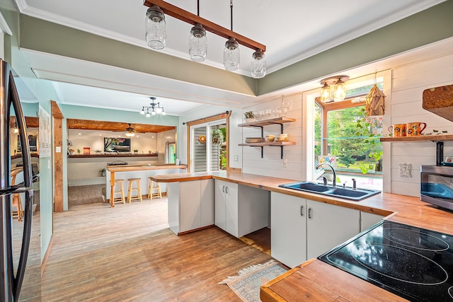 4744 Sandy Ln, Whitehall, MI 49461 - kitchen with open shelves, a sink, light wood-style flooring, wood counters, and crown molding