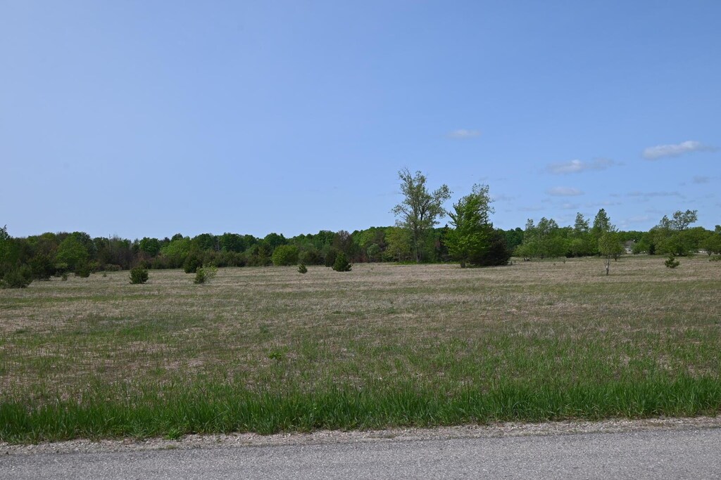 0 Motz Rd SW, Kalkaska, MI 49646 - photo 1