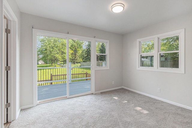 1335 Knapp St NE, Grand Rapids, MI 49505 - empty room featuring baseboards, carpet, and plenty of natural light