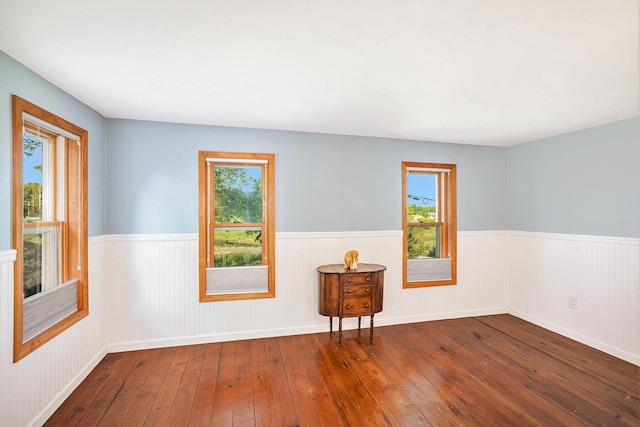 5700 Dexter Townhall Rd, Dexter, MI 48130 - spare room with a wainscoted wall, wood-type flooring, and plenty of natural light